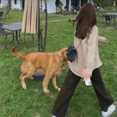 小资女夯什么